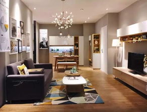 他一語(yǔ)道破了尚品宅配和維意定制的本質(zhì)