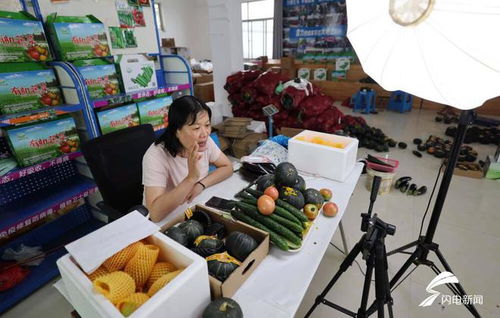 沂南發展設施農業 助力鄉村振興