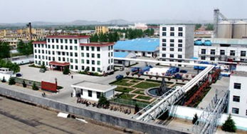 青援集團的組織機構